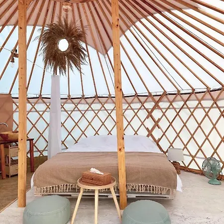 Glamping Iurte Mongole Spiritul Zimbrului Hotel Vama Buzaului Exterior photo