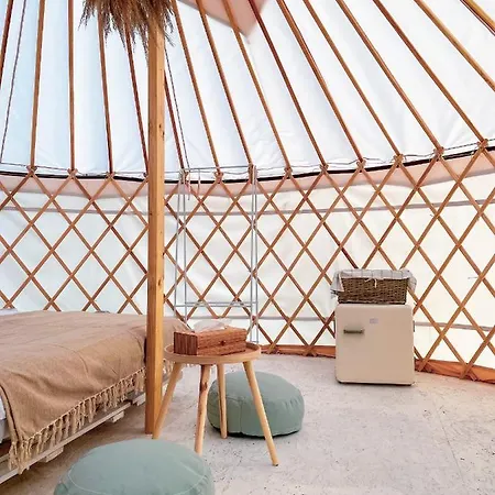 Glamping Iurte Mongole Spiritul Zimbrului Hotel Vama Buzaului Exterior photo