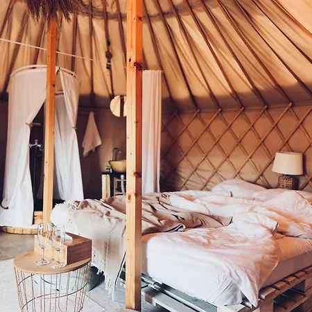 Glamping Iurte Mongole Spiritul Zimbrului Hotel Vama Buzaului Exterior photo