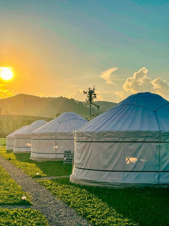 Glamping Iurte Mongole Spiritul Zimbrului 3*