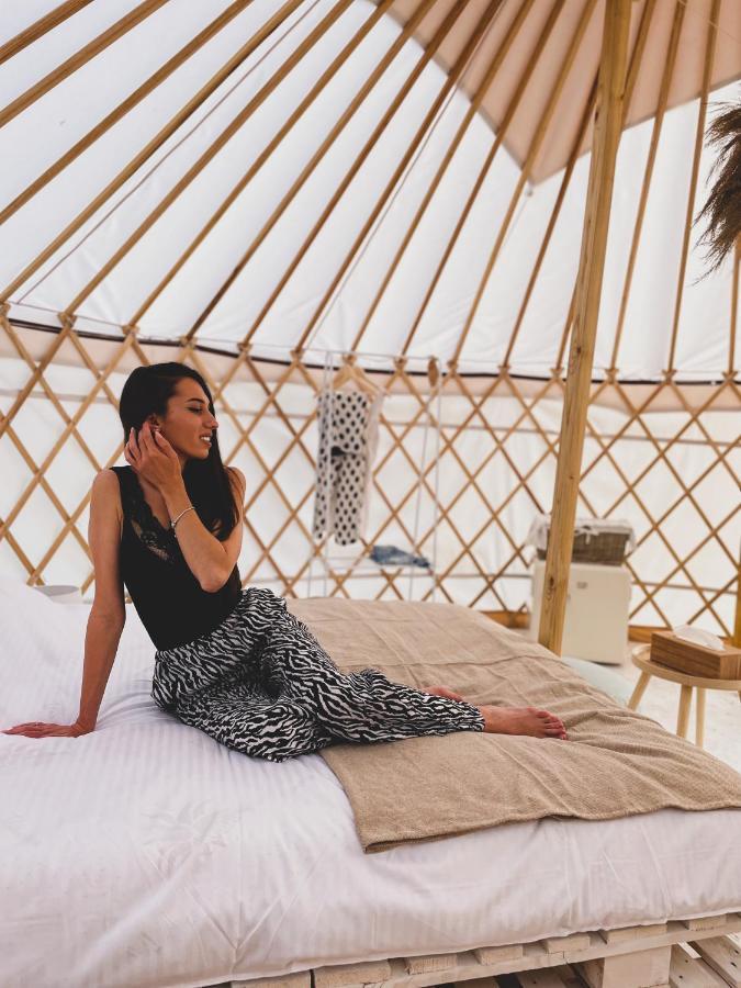Glamping Iurte Mongole Spiritul Zimbrului Vama Buzaului