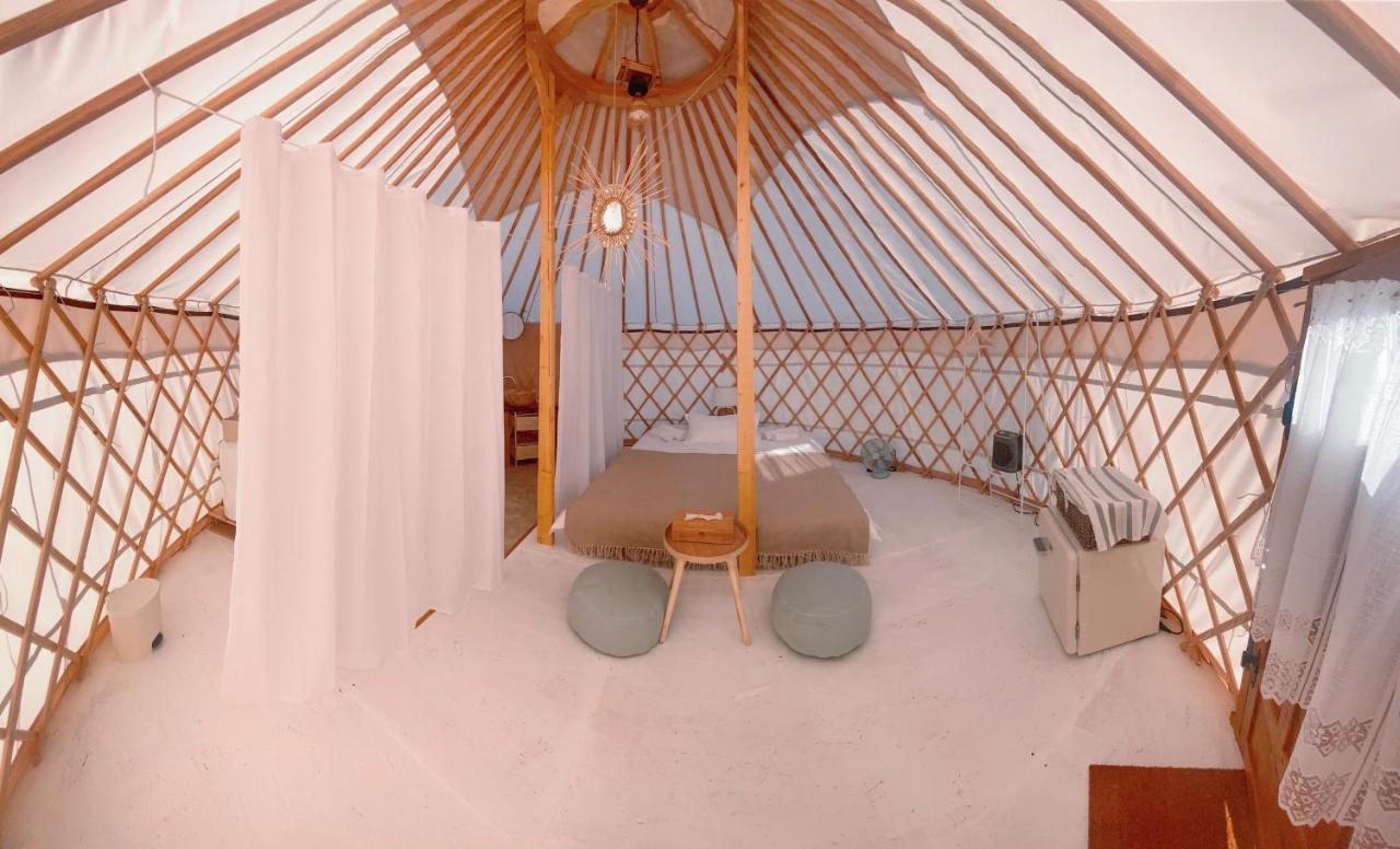 Glamping Iurte Mongole Spiritul Zimbrului Vama Buzaului