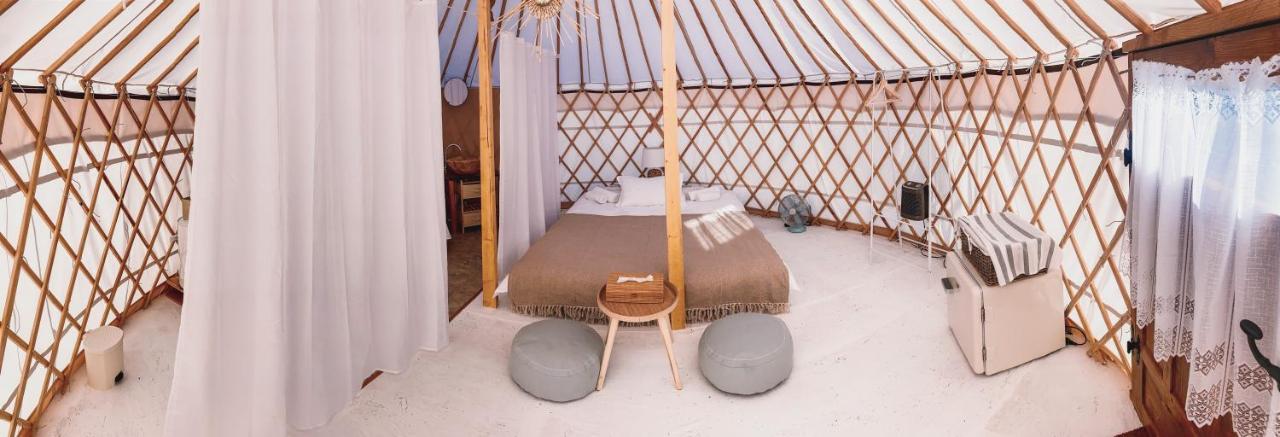 Glamping Iurte Mongole Spiritul Zimbrului Vama Buzaului