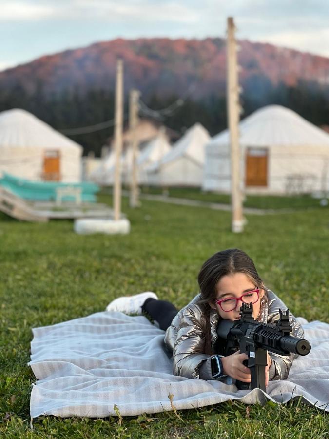 Glamping Iurte Mongole Spiritul Zimbrului Vama Buzaului