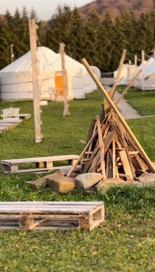 Glamping Iurte Mongole Spiritul Zimbrului 3*