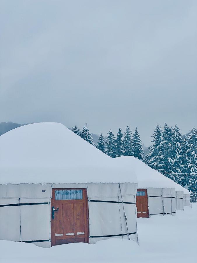 Glamping Iurte Mongole Spiritul Zimbrului Luxury tent Vama Buzaului