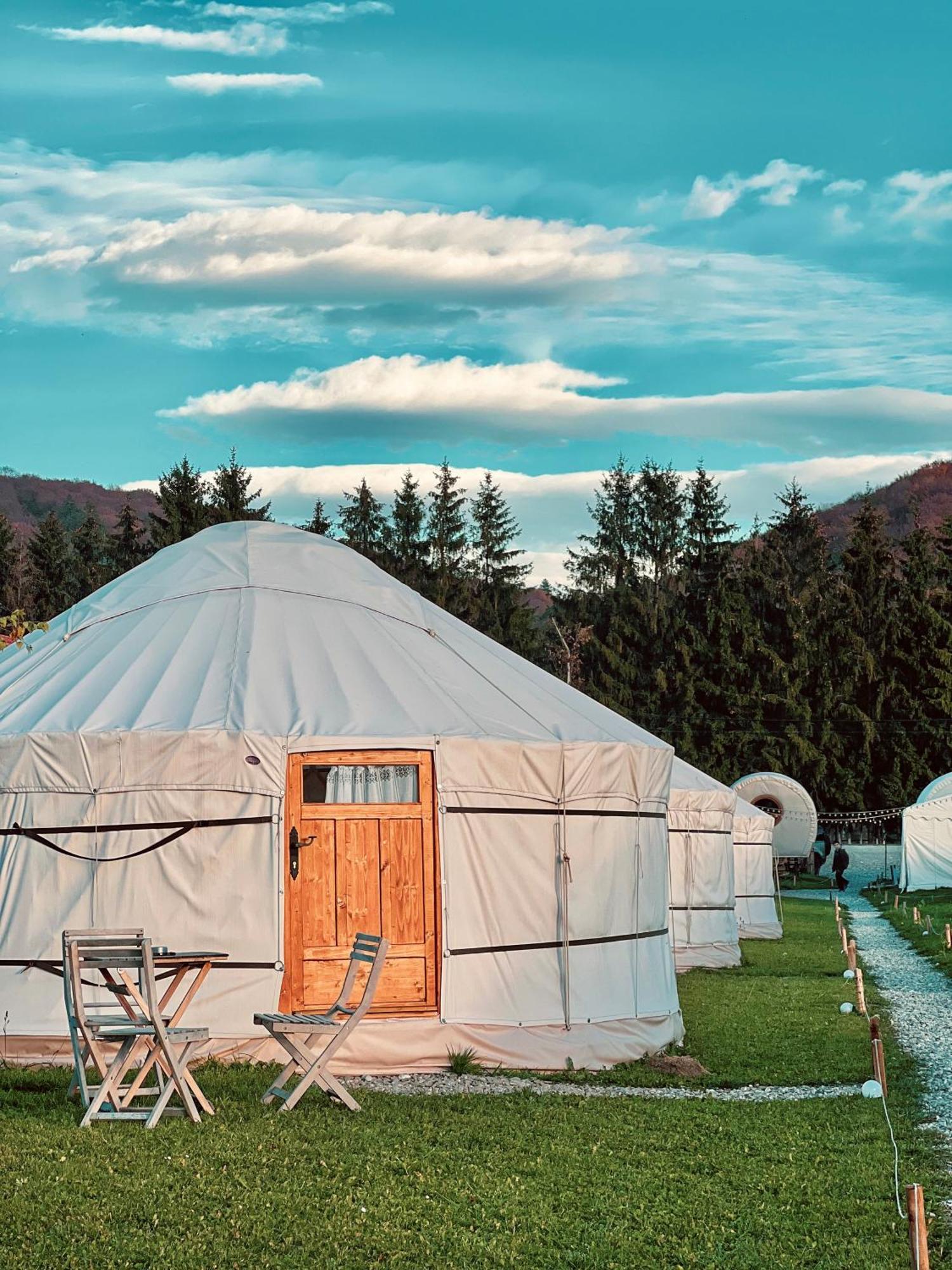 Glamping Iurte Mongole Spiritul Zimbrului Vama Buzaului