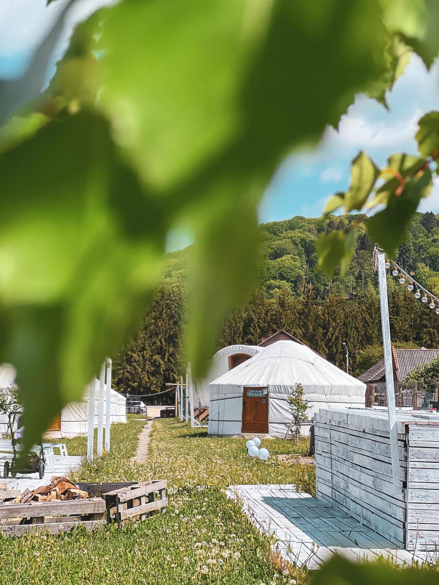 Luxury tent Glamping Iurte Mongole Spiritul Zimbrului