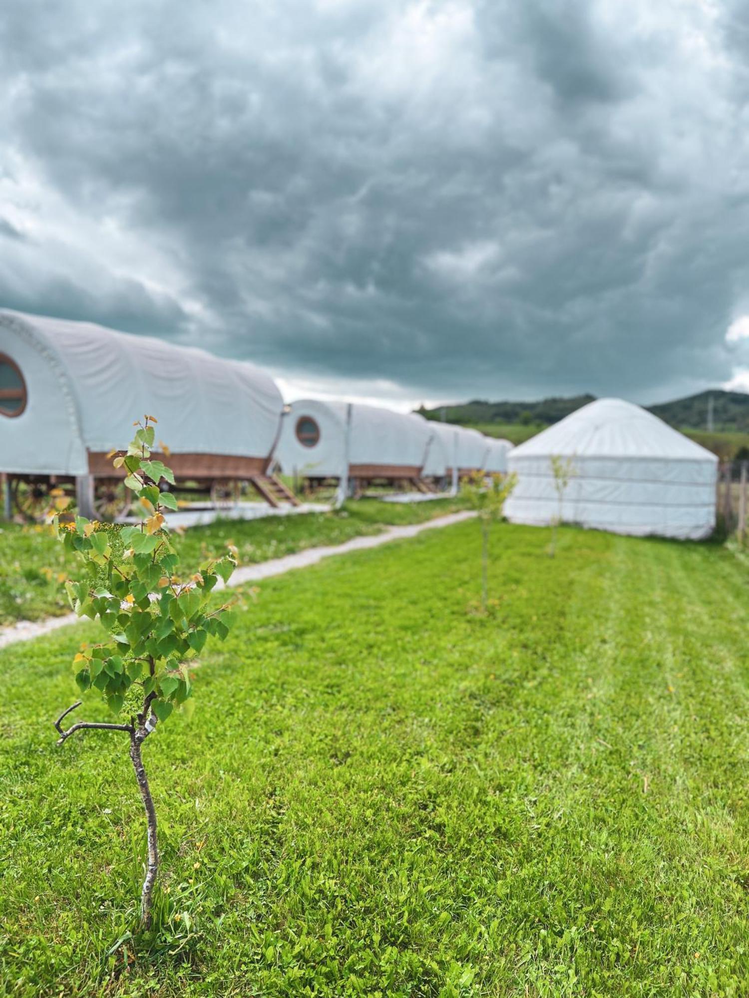 Luxury tent Glamping Iurte Mongole Spiritul Zimbrului 3*