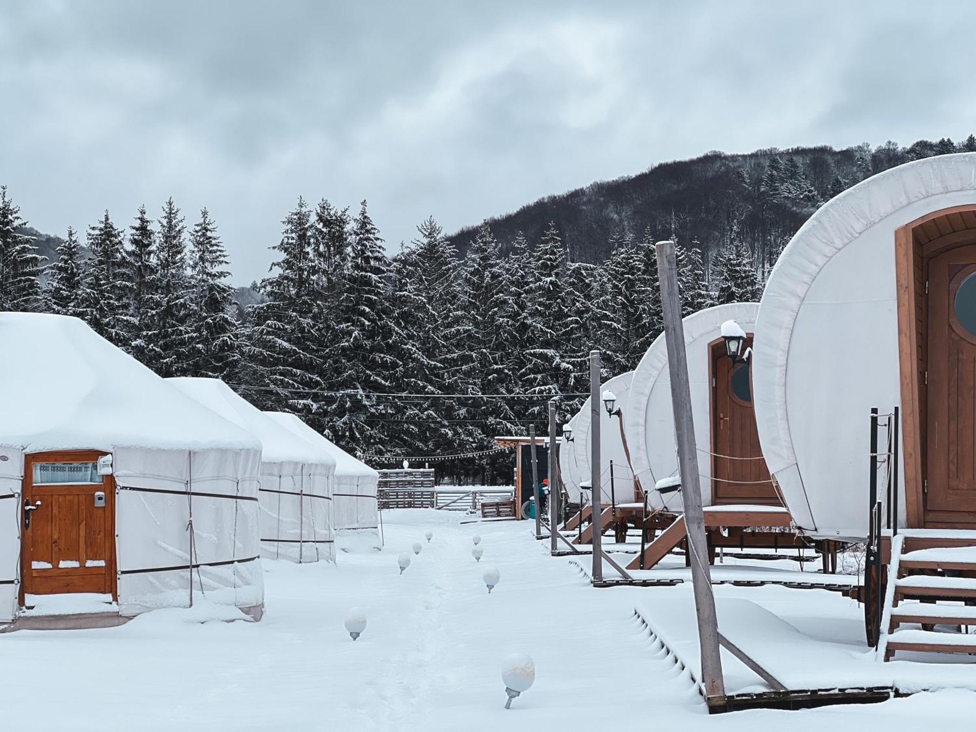 Glamping Iurte Mongole Spiritul Zimbrului Luxury tent